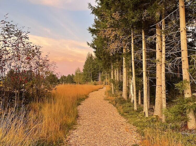 Rothenfels Hotel & Panorama Restaurant