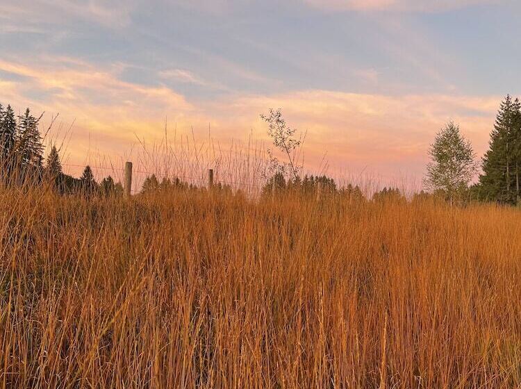 Rothenfels Hotel & Panorama Restaurant