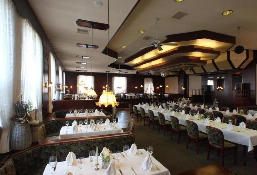 Пансион Gasthof Bogenrieder