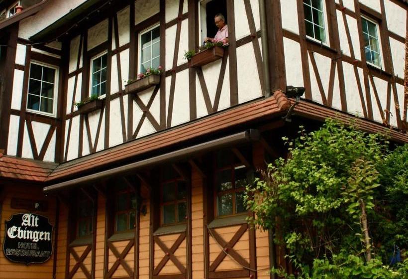 호텔 Alt Ebingen