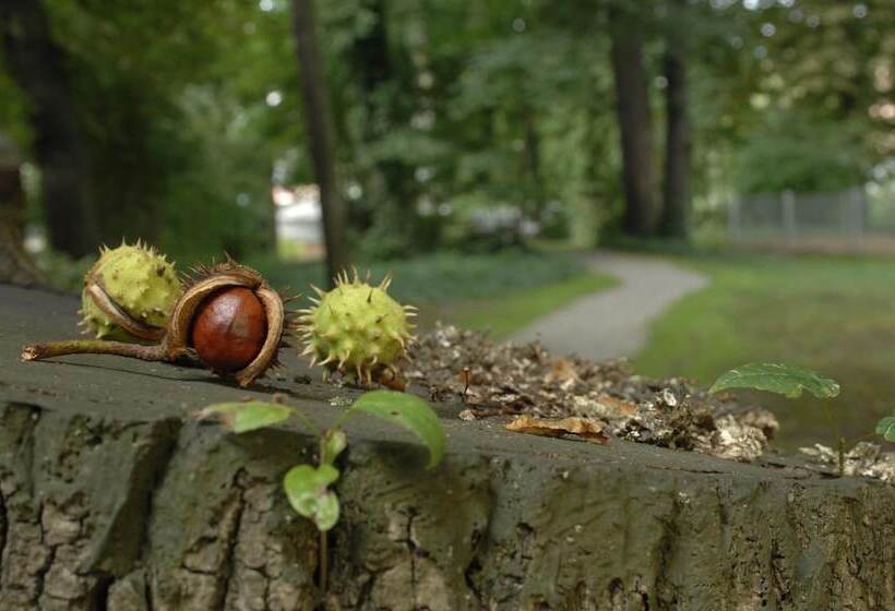 בית מלון כפרי Am Alten Park