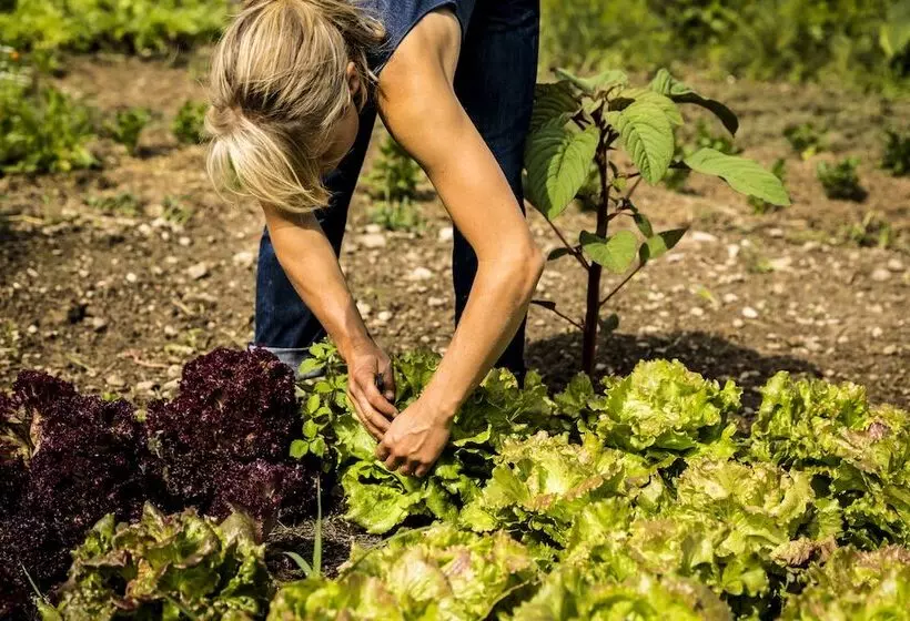 Отель Gut Sonnenhausen