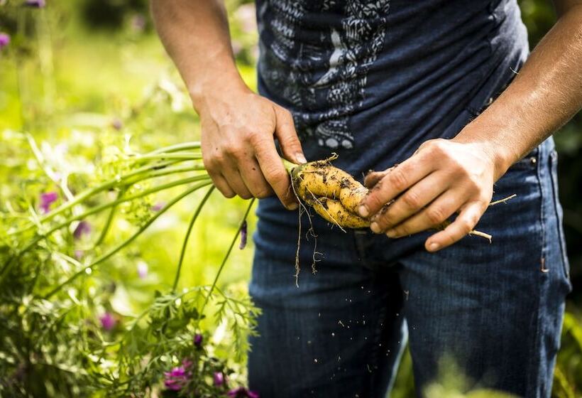 فندق Gut Sonnenhausen