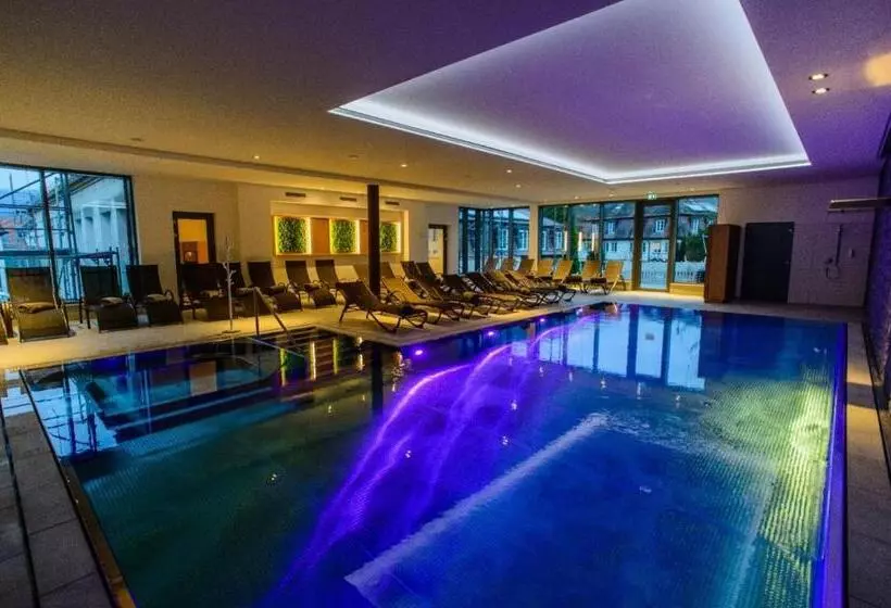 Отель Schloss Döttingen