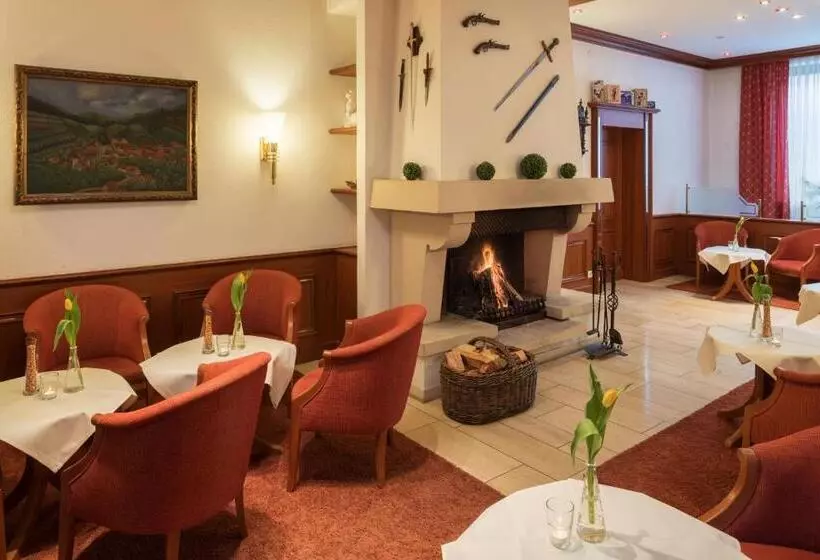 Отель Schloss Döttingen