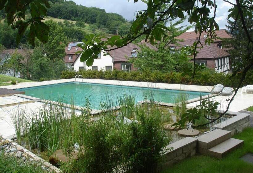 Отель Schloss Döttingen