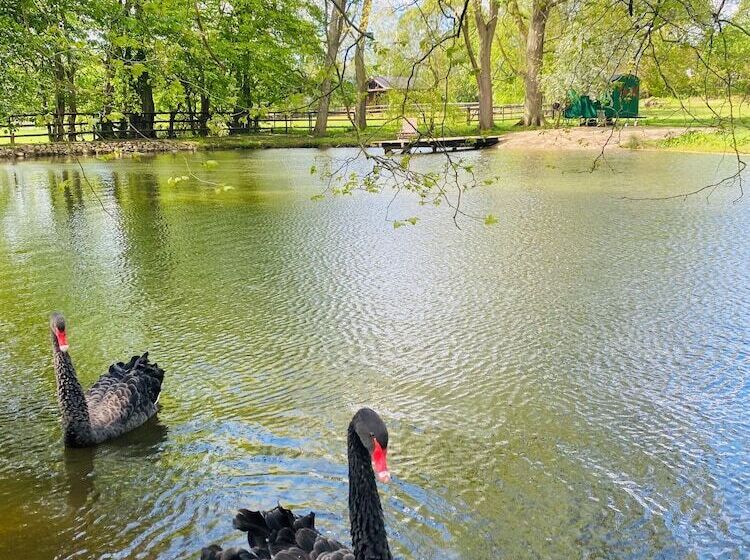 Schlossresidenz   Boutique Apartments & Hotel Suiten