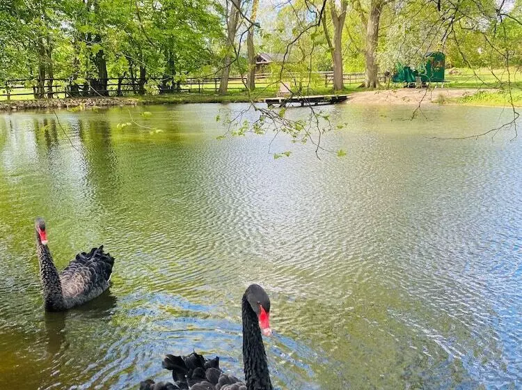 Schlossresidenz Boutique Apartments & Hotel Suiten