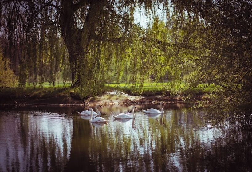 Schlossresidenz   Boutique Apartments & Hotel Suiten