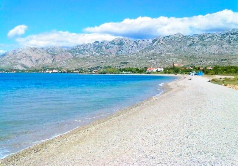 فندق Apartments Bucic