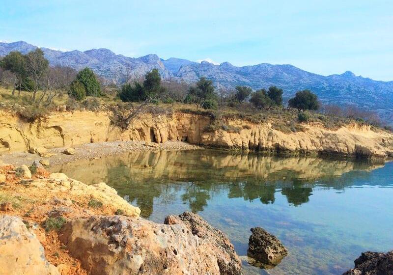 فندق Apartments Bucic