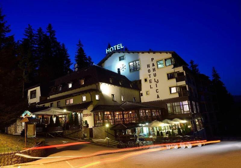 هتل Pahuljica