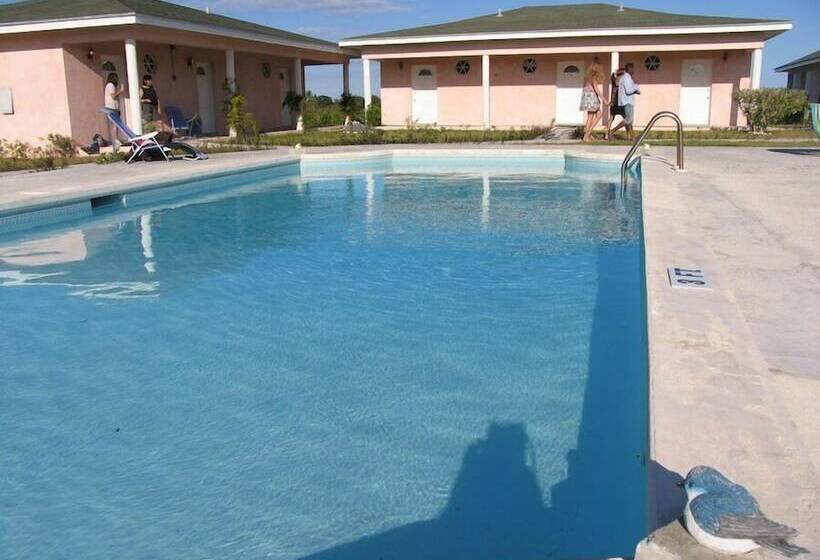 هتل Love At First Sight