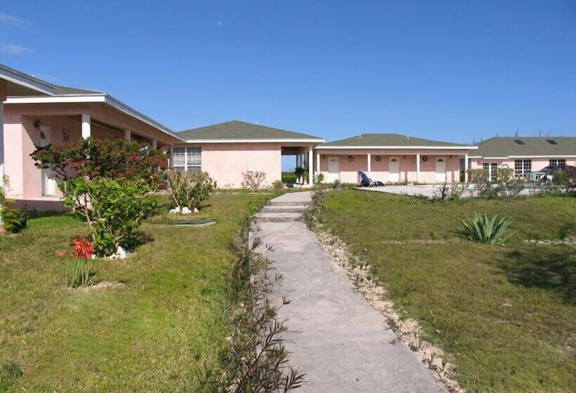 هتل Love At First Sight