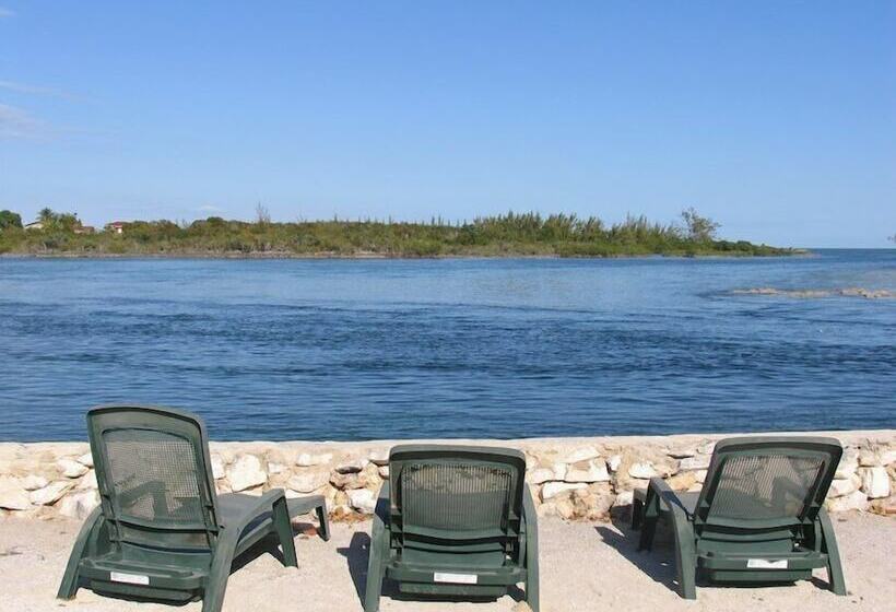 هتل Love At First Sight