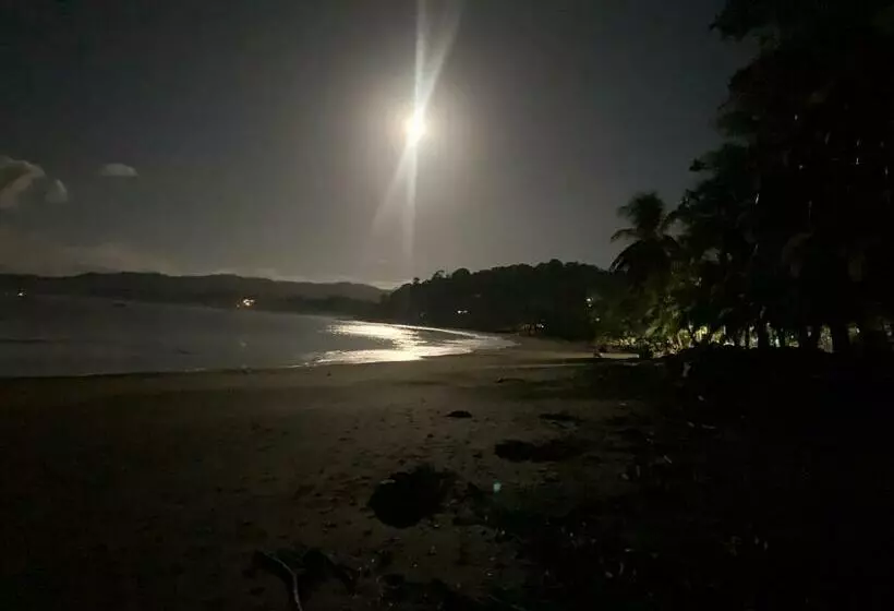 تختخواب و صبحانه Osa Corcovado Lodge