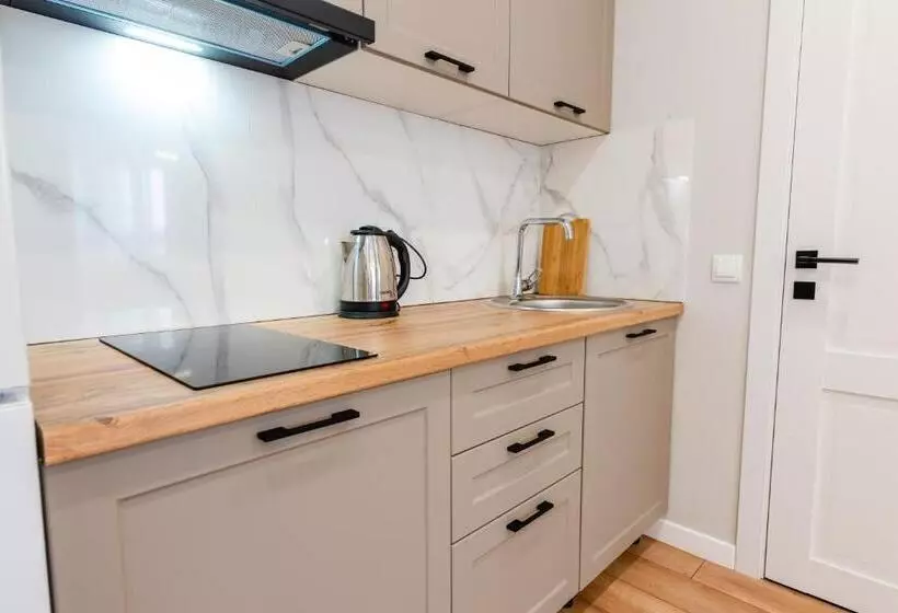 Comfortable Apartmen 2