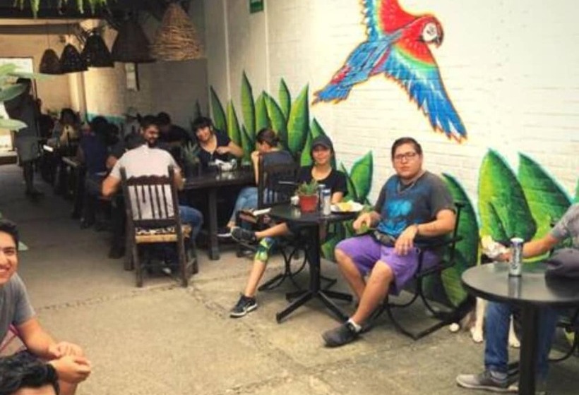 ホテル Canova Hostel & Pizza