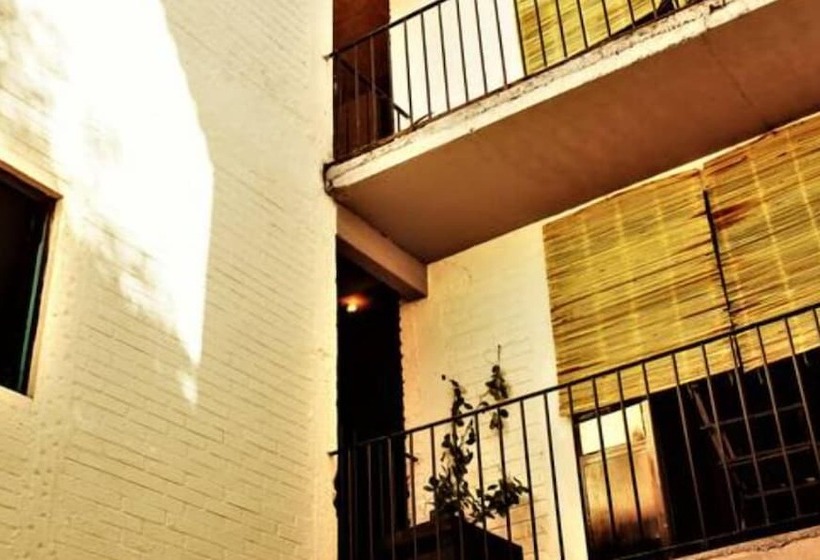 ホテル Canova Hostel & Pizza