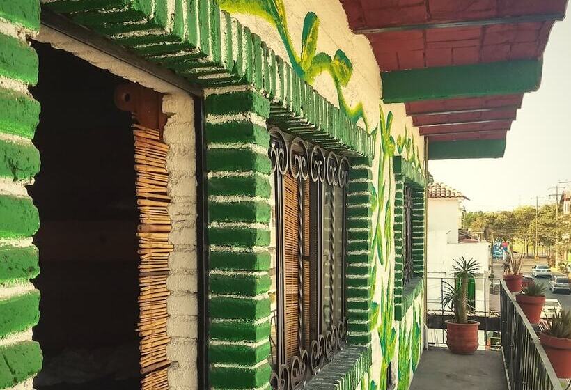 ホテル Canova Hostel & Pizza