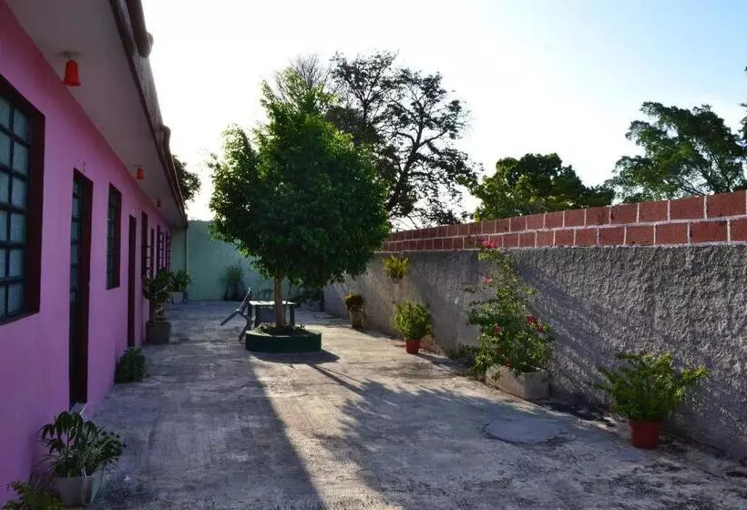 Hotelli Casa Cuevas & Amaro