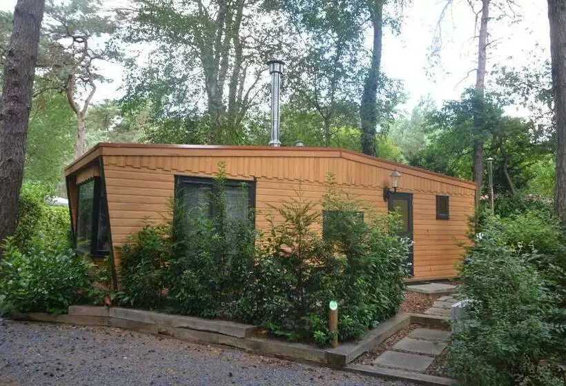 Vh Wellness Natuurhuisje Het Spikkennust