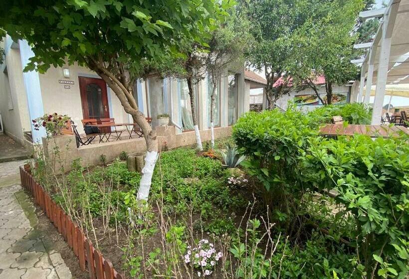 Vila Karina Beachfront Vama Veche