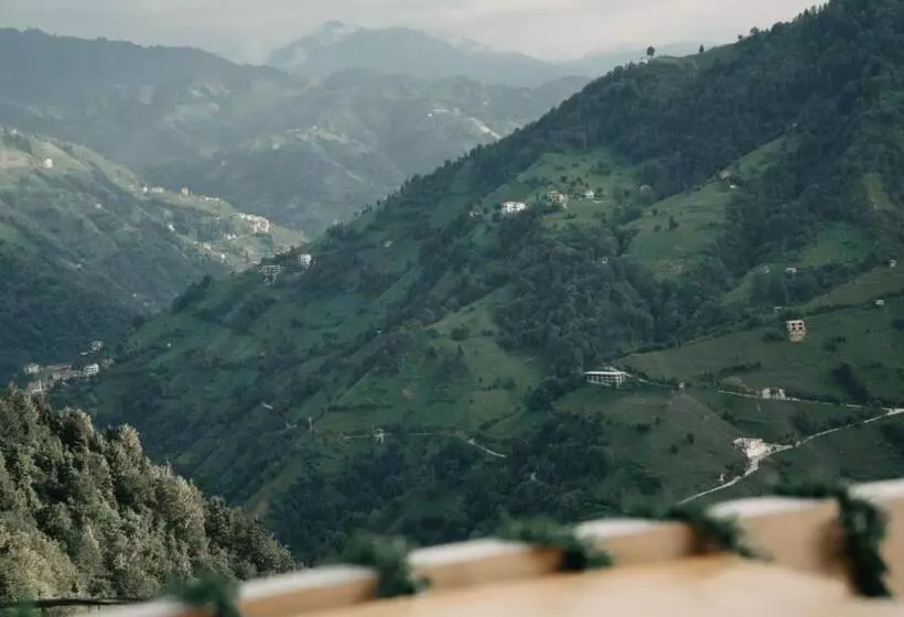 Aamiaismajoitus (B&B) Orca Bungalows