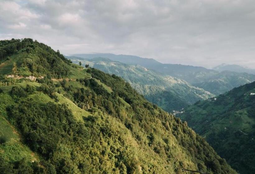 ベッドアンドブレックファースト Orca Bungalows