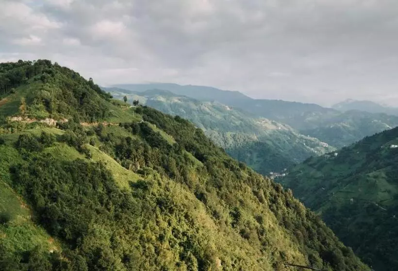 Aamiaismajoitus (B&B) Orca Bungalows