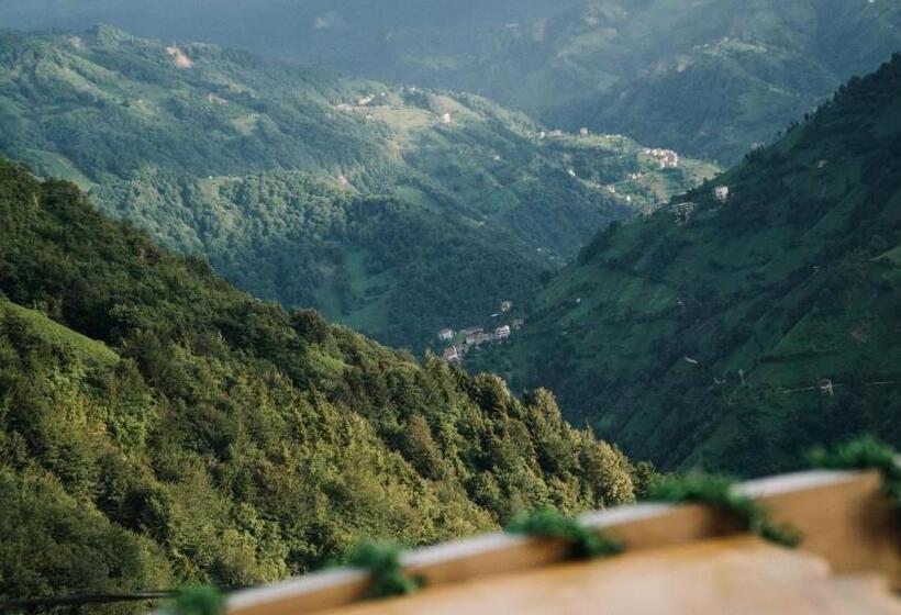 ベッドアンドブレックファースト Orca Bungalows