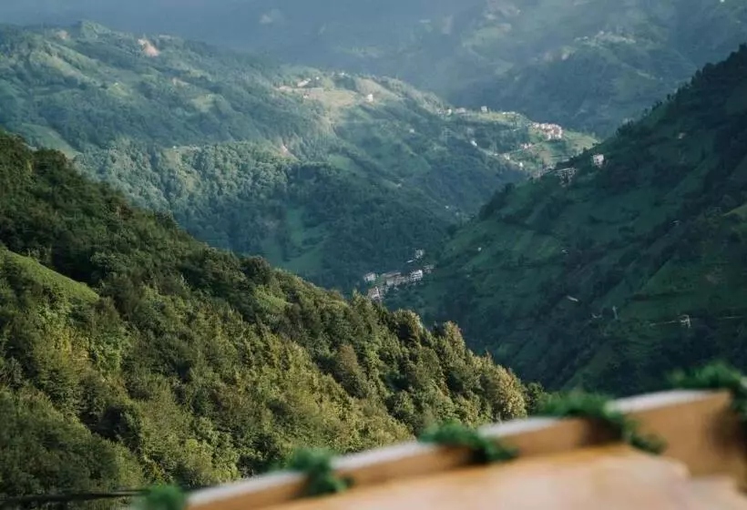 Aamiaismajoitus (B&B) Orca Bungalows