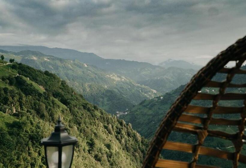 ベッドアンドブレックファースト Orca Bungalows