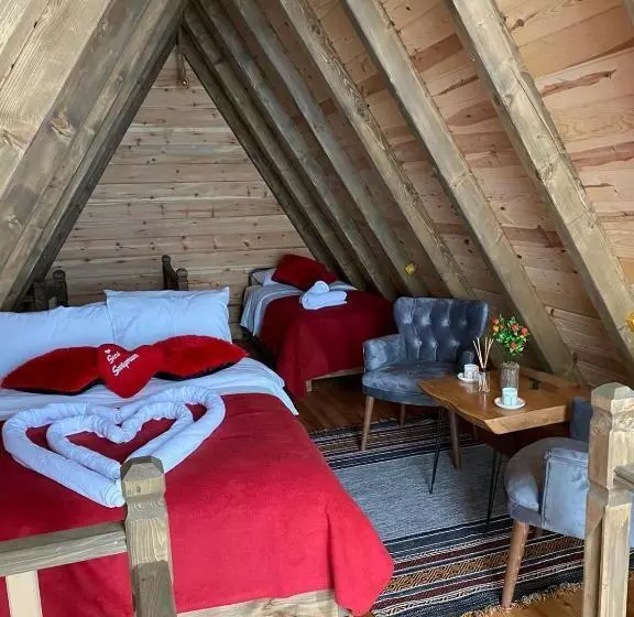 Aamiaismajoitus (B&B) Orca Bungalows