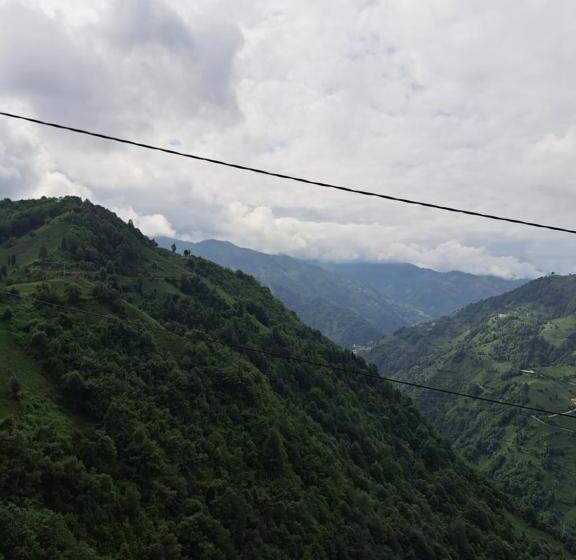 ベッドアンドブレックファースト Orca Bungalows