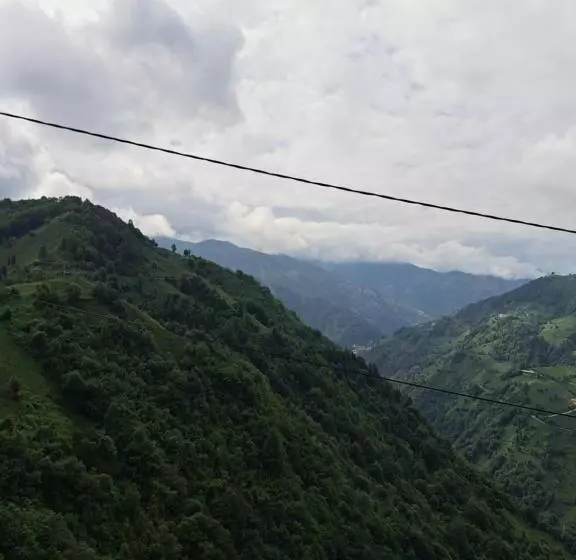 Aamiaismajoitus (B&B) Orca Bungalows