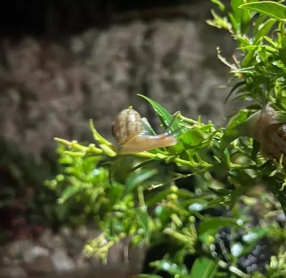 ホテル Home Mark Casa Boutique