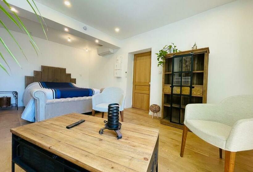 민박 The Balzacienne Room In A Charming Mansion At The Gates Of Tours