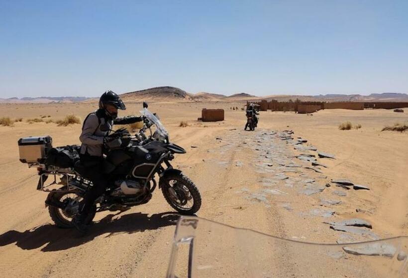 پانسیون Auberge Dinosaur Kem Kem