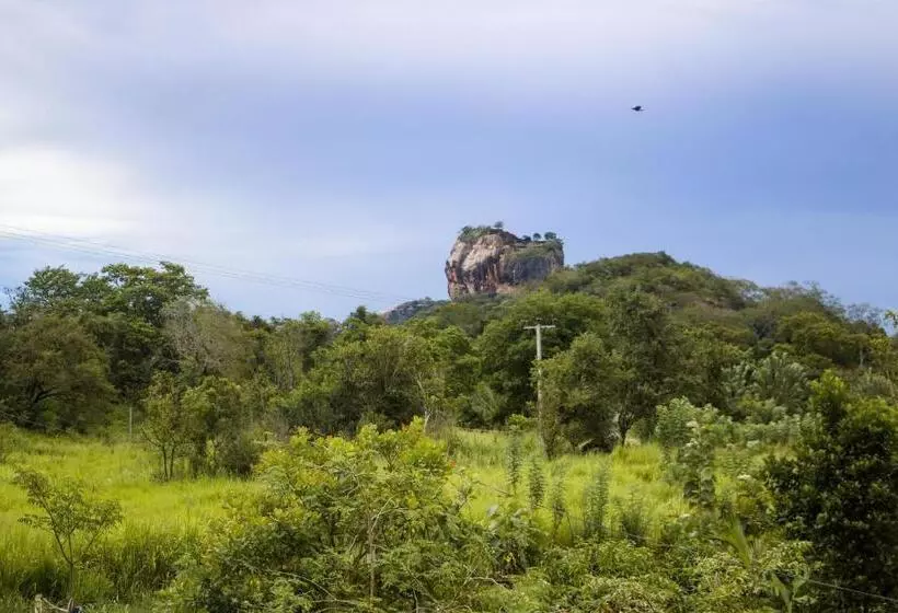 Majatalo Sigiri Gayani Home Stay