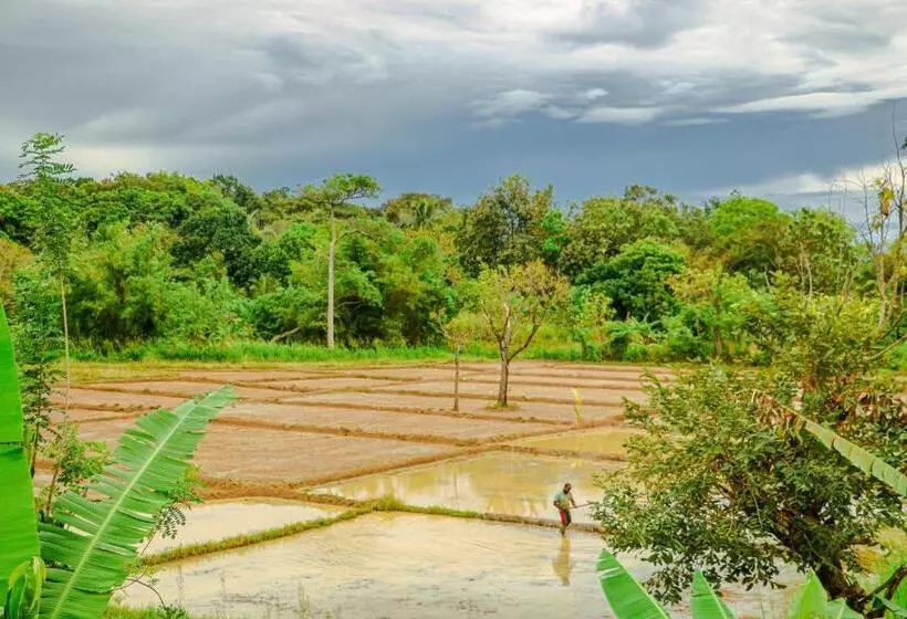 Majatalo Sigiri Gayani Home Stay