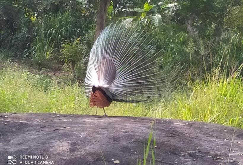 بنسيون Sigiri Gayani Home Stay