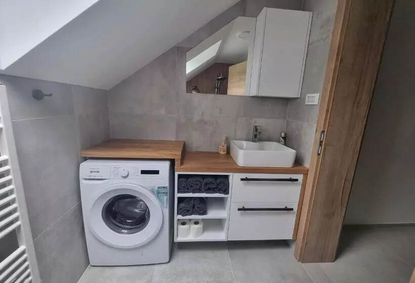 Apartment Bajta   Rogla