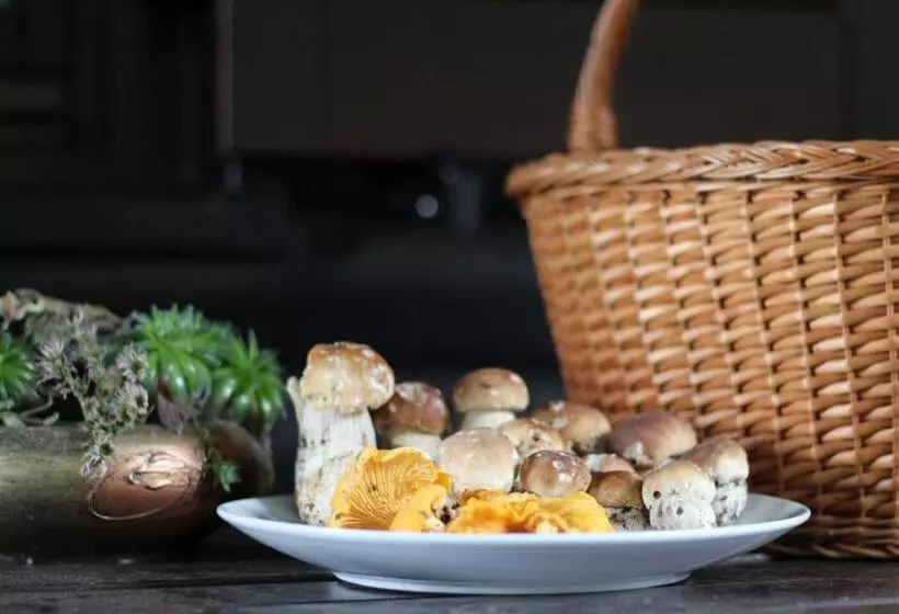 Apartment Bajta   Rogla