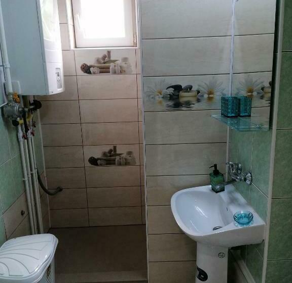 Garsoniera Cu 1 Dormitor , Maxim 3 Persoane