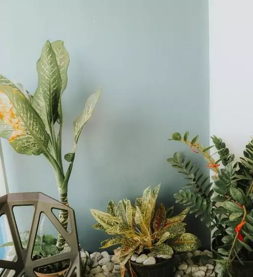 Hotelli R Holistay Azurenorth Wave Pool Fast Wifi