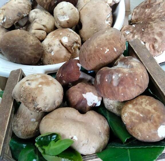 호텔 Ristorante Caligiuri