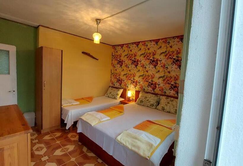 Pensión вила радеви