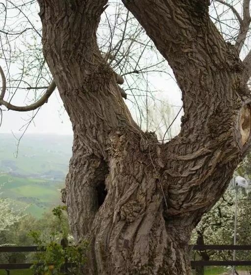 ベッドアンドブレックファースト la Quercia Del Cavaliere Agriturismo Tim