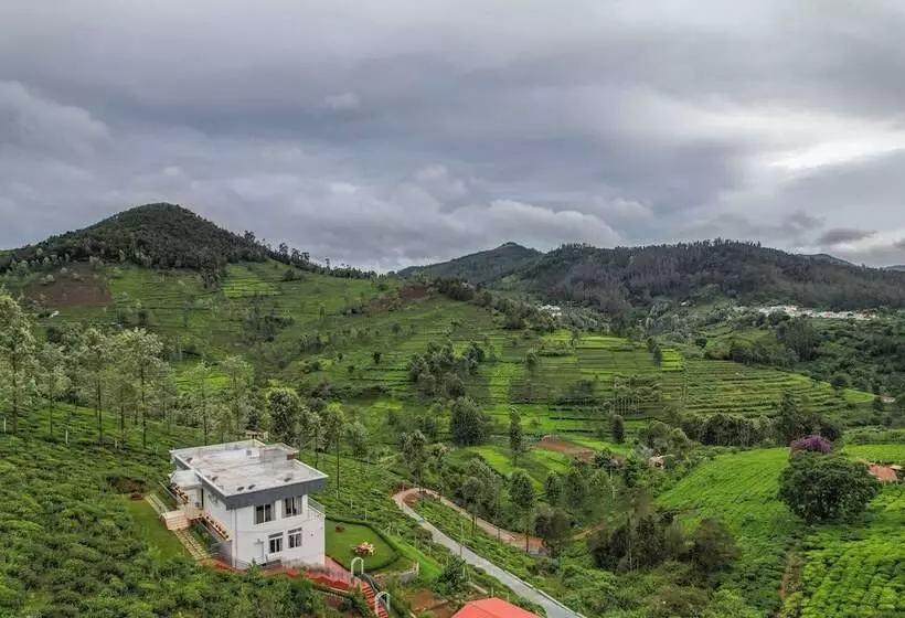Heavenly Hills